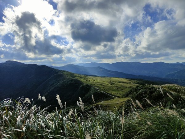 2023.11.23 桃源谷內寮線登灣坑頭山2503649