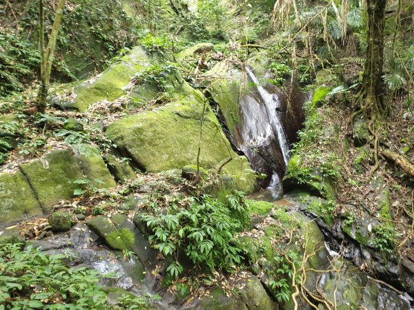 水寨下古道帽盒東山蕃子寮山1620741