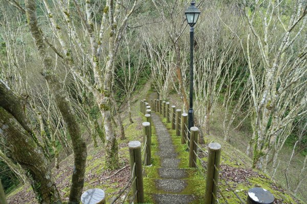 觀音台 水柳腳登山步道3085155