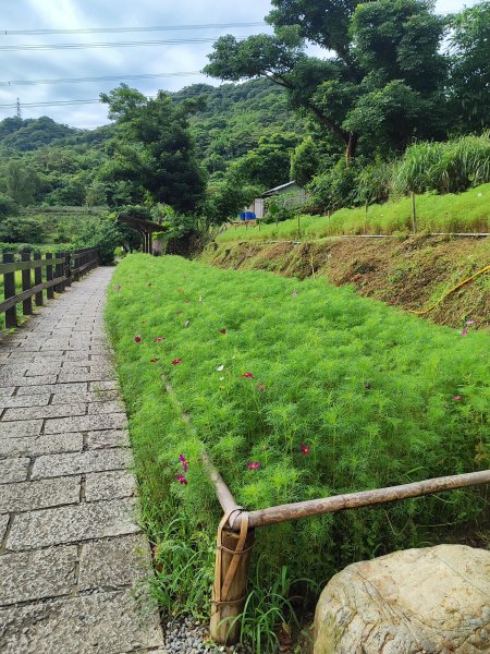 臺北大縱走第七段：世界山莊至飛龍步道政大後山2811692