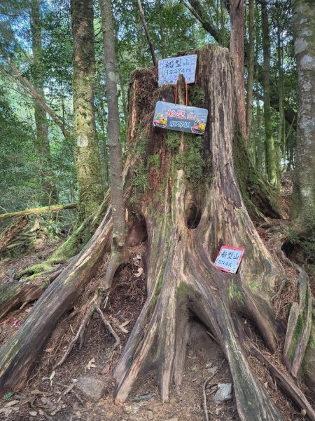 船型山林道賞雲海、烏石坑山、2432峰 山景海景一次到位2929314