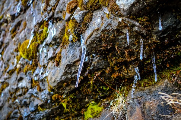[冬訪大霸聖山岳參行]-榮耀桂冠B'bu' Papak聖稜精選輯2974778