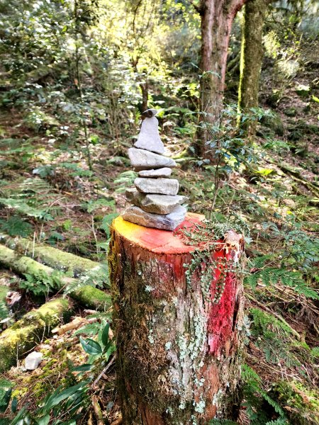 小百岳集起來-稍來山2181427