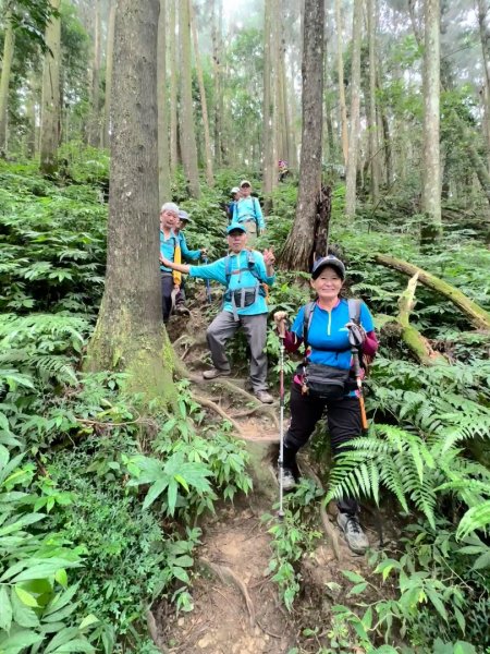 光天高山 - 向天湖山(小百岳32) 小O一圈2876744
