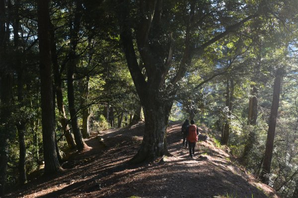 大劍山之旅1239384