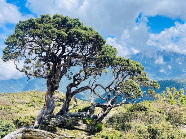 20250515-20250516 《登》合歡群峰3020172