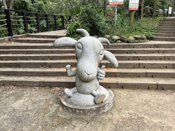 羊稠森林步道3020898