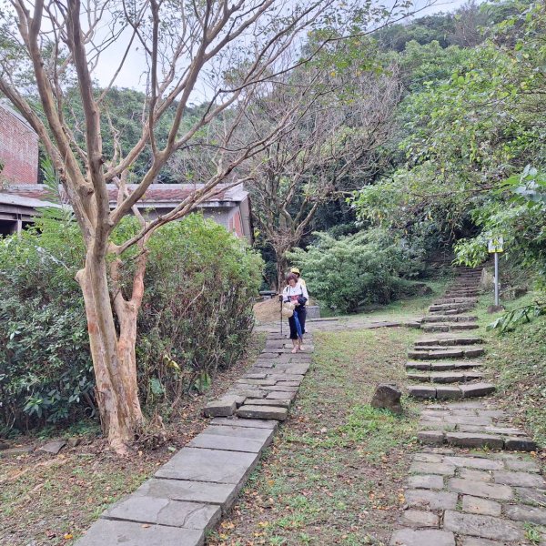 【2025草嶺古道芒花季】完成!2929492