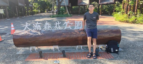 大湳森林公園2910956