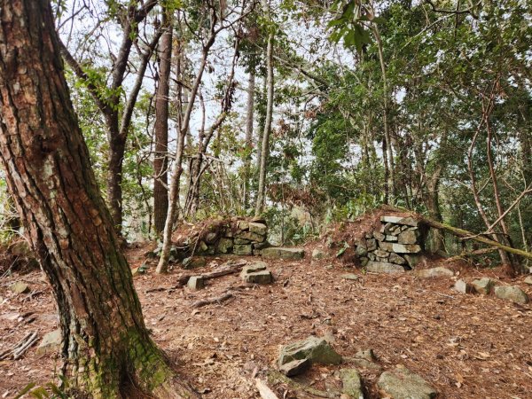 【中級山】芝生毛台山，芝生毛台山西峰，秀巒軍艦岩，屯野生步道，屯野生砲台2745134