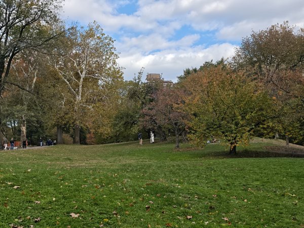 [紐約馬之行-11] 2025_1101 中央公園-畢士大露臺2945097