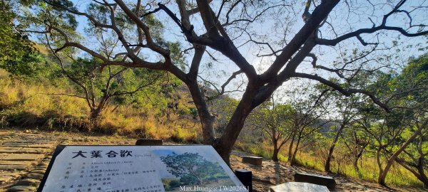 《台中》短暫暖陽｜龍井竹坑南寮步道O繞202601042976446