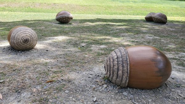 屏東山旅 – 雙流國家森林遊樂區（瀑布步道-沿山步道）2679952