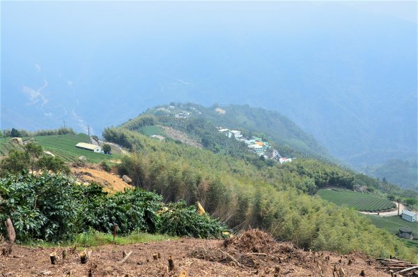 後棟仔山 & 雲嘉大尖山1378293