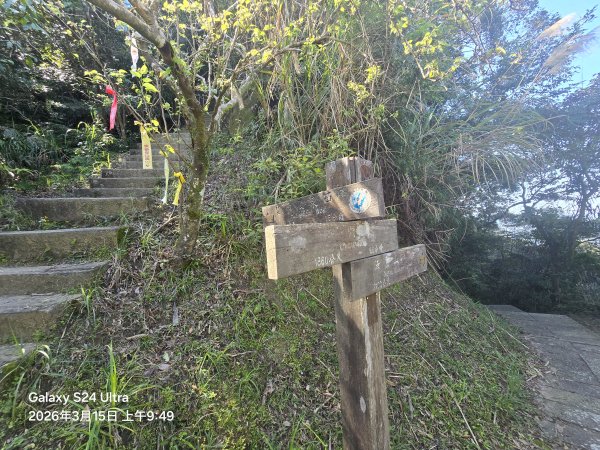 2026-03-15微笑山線：【二格山系】皇帝殿稜線段3016103