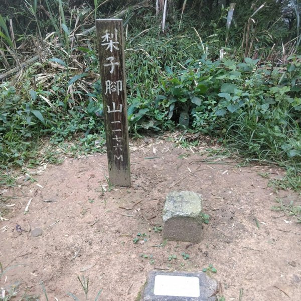 雲嘉五連峰O型環狀684854