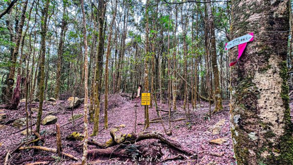 谷關七雄-屋東縱走2923550
