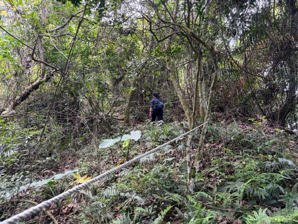 暗影山步道2753100