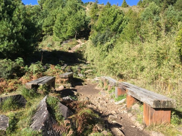 20181021-麟趾山&鹿林山444984