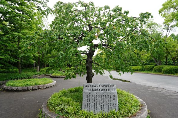 日本 大阪2784875