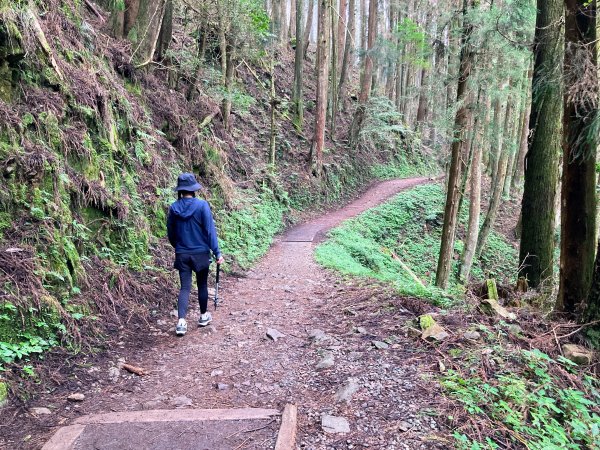 特富野古道2625589