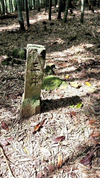 三峽五寮尖山，桃園金平山，三民蝙蝠洞，觀音洞步道，基國派教堂，八德埤塘生態公園，中庄吊橋1798247