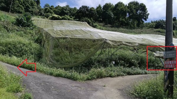 20250927 馬那邦山 - 上湖登山口2895884