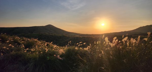 秋芒夕落，譜成令人心醉的浪漫擎天崗2656537