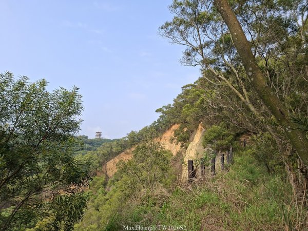 《台中》綠色隧道｜大肚環保公園登山步道O繞202604183038498