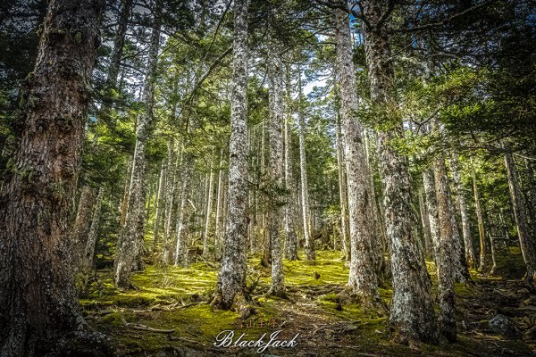 雪山主峰一日單攻963343