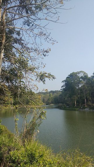 2020 2/4 虎頭埤878921