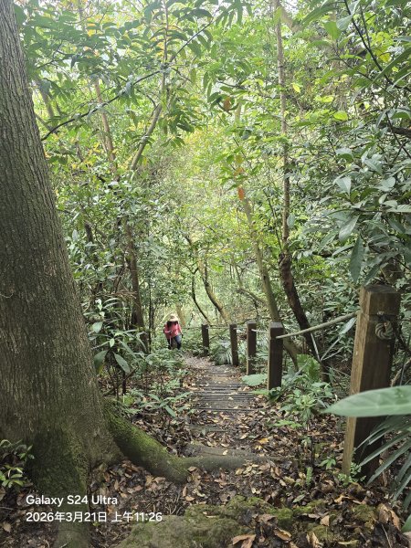 2026-03-21微笑山線：【鳶山山系】鳶山彩壁段3020489