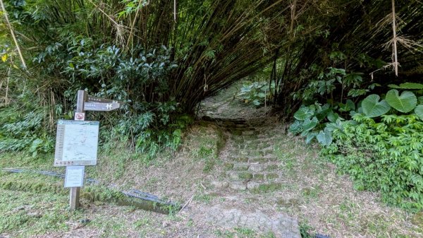 114.06.28內平林山-番子坑山-平湖森林遊樂區之O型2824284