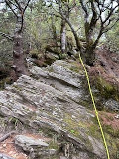 20250524 畢祿山單攻2796501