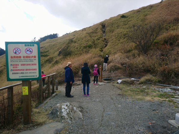 合歡山東峰上下(遊客中心起登)871463