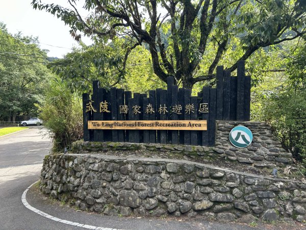 桃山3095903
