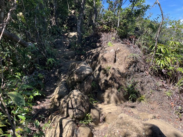 [微笑山線_第九段] 2025_0914 二格山系_天王峰2889545