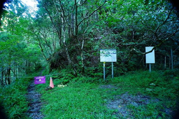 宜蘭 大同 巴博庫魯山3120722