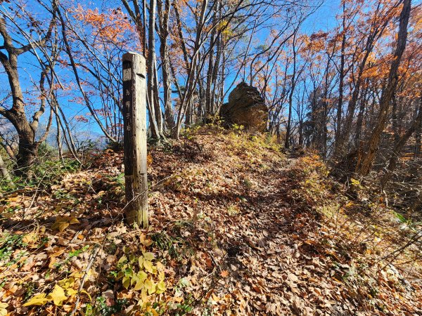 20251123秘境車站峠駅與垂水遺跡2957771