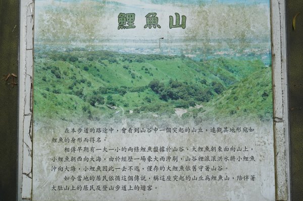 臺中 龍井 竹坑山2767041