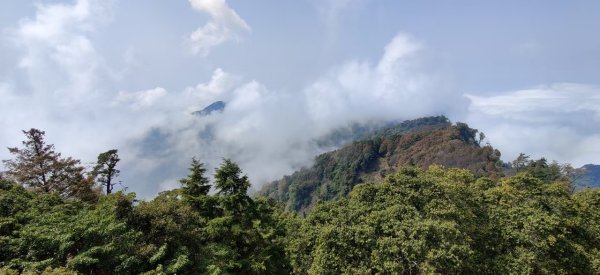 中級山-鳶嘴稍來2889055