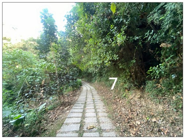 軍功寮山、大坑9、7、6、9-1步道 O型一圈2950811