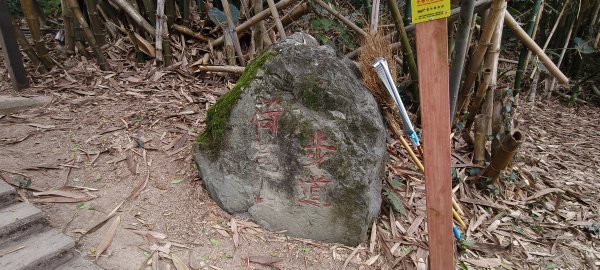 2026/02/27-荷苞山登山步道3010046