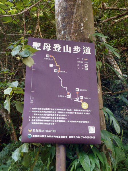 朝聖抹茶山2949472