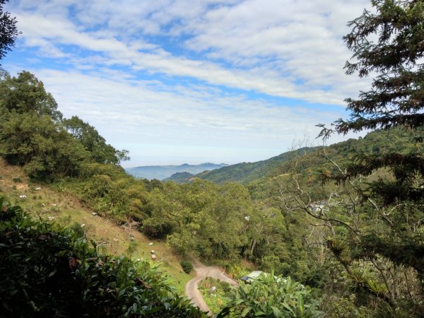 馬那邦山(小百岳#37)登山步道。點點楓紅 2020/12/131425307