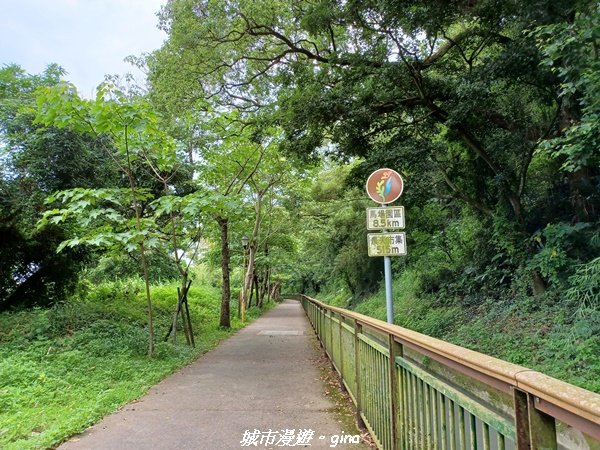 【台中外埔】沿著水圳散散步。 外埔水流東桐花步道1731441