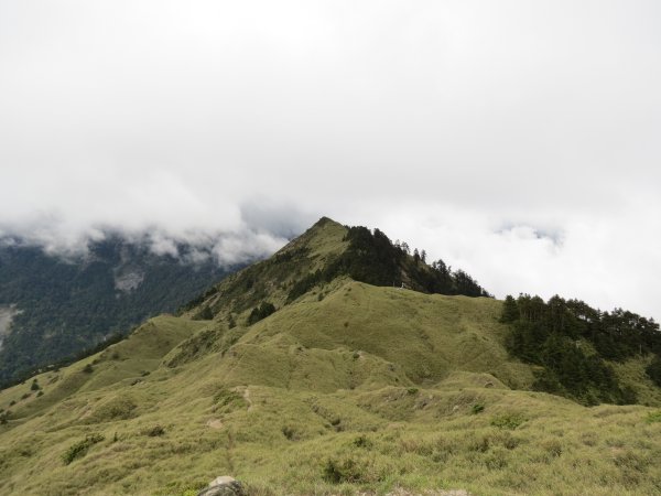 合歡山東峰-尖山-小奇萊-石門山2513143