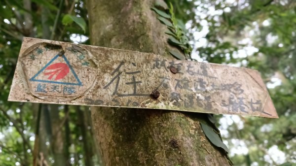 雙溪區豎旗山北稜線-豎旗山-豎旗山南峰-烏山尖-鄒家古厝-保成坑口站O型3071239