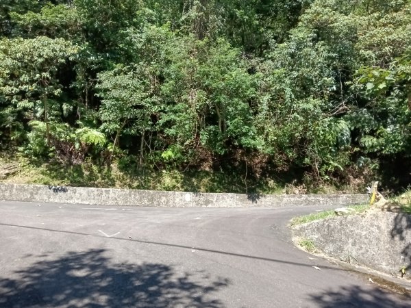 坪林區南闊瀨行(枋山坑古道+枋山坑崙+闊瀨越嶺保甲路O型)2916776