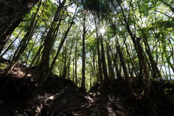 台中 和平 馬崙山2796963